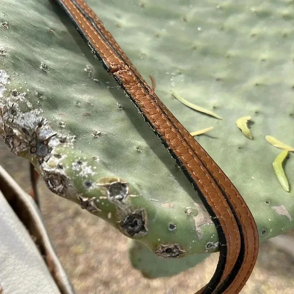 Claudia Firenze Pebbled Leather Tote Bag Made Italy Straw - Picture 2 of 8